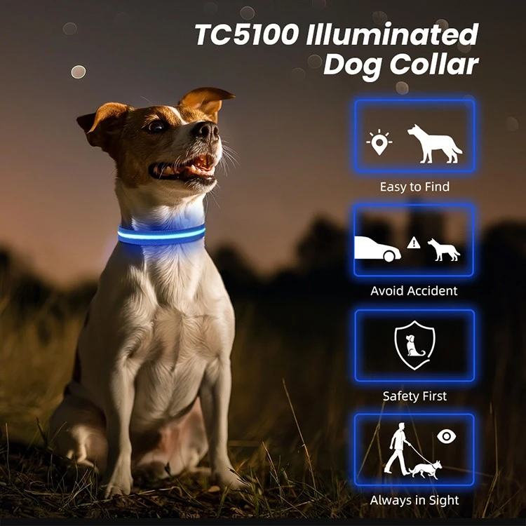 Lighted Dog Collars For Small Dogs best