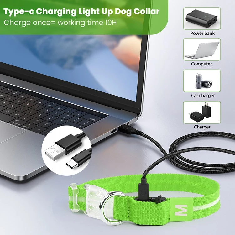 Lighted Dog Collars For Small Dogs factory