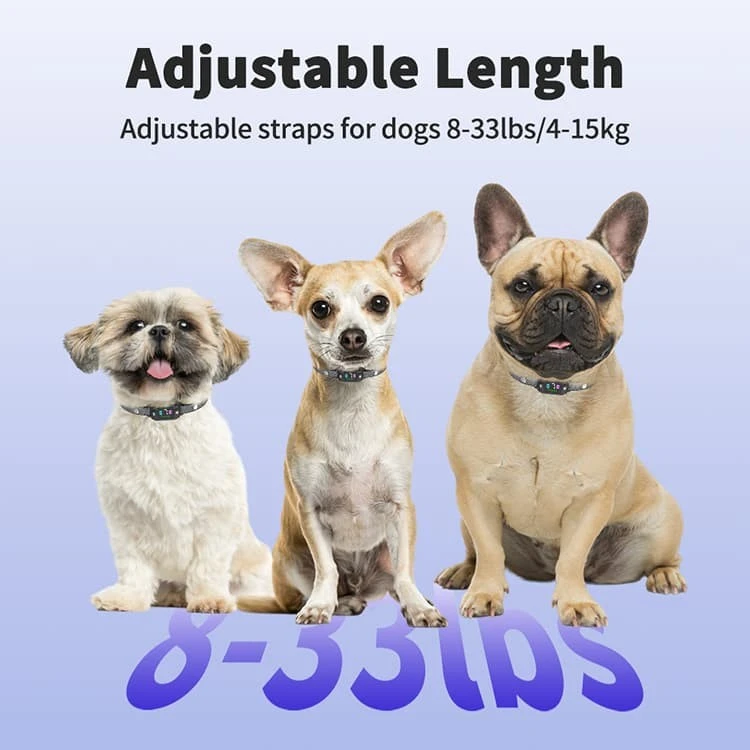 Non Shock Bark Collars For Small Dogs factory